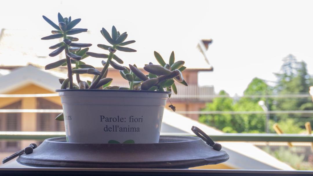 Photo of Patio Balcony in Pedara