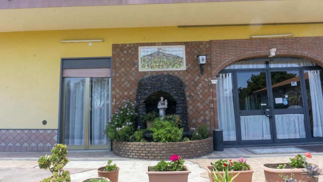 Photo of Others in Pedara