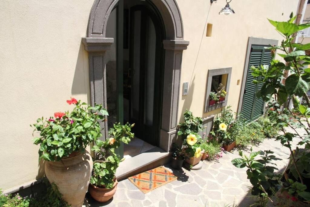 Photo of Others in Canneto