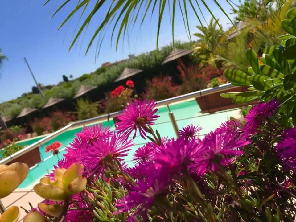 Photo of Outdoor in Pozzallo