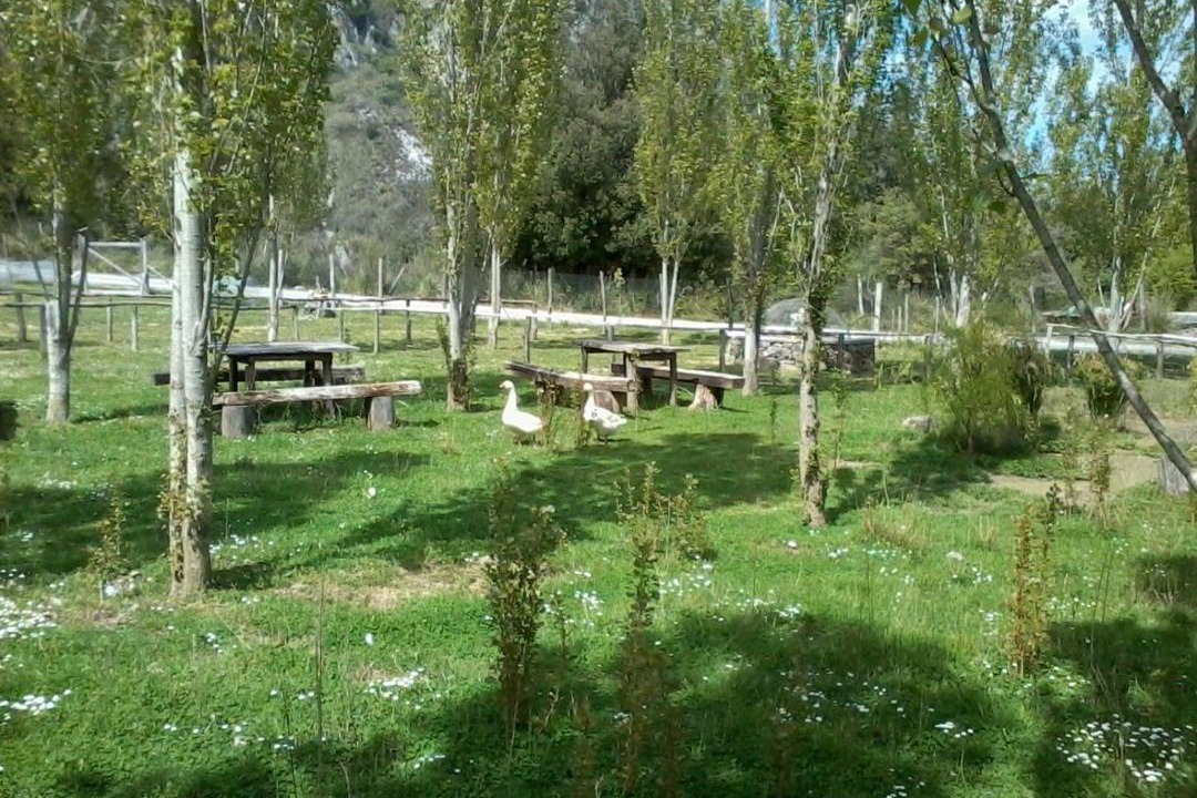 Photo of Others in Papasidero