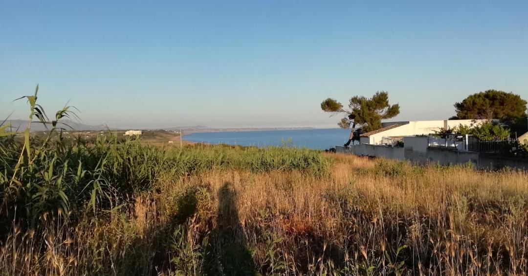 Photo of Others in Marinella di Selinunte