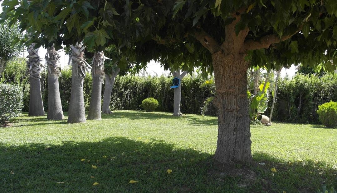Photo of Others in San Lorenzo