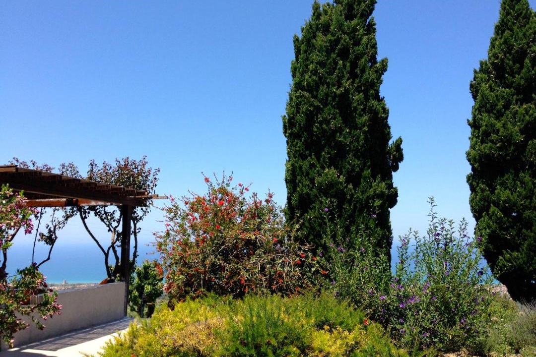 Photo of Others in Collesano