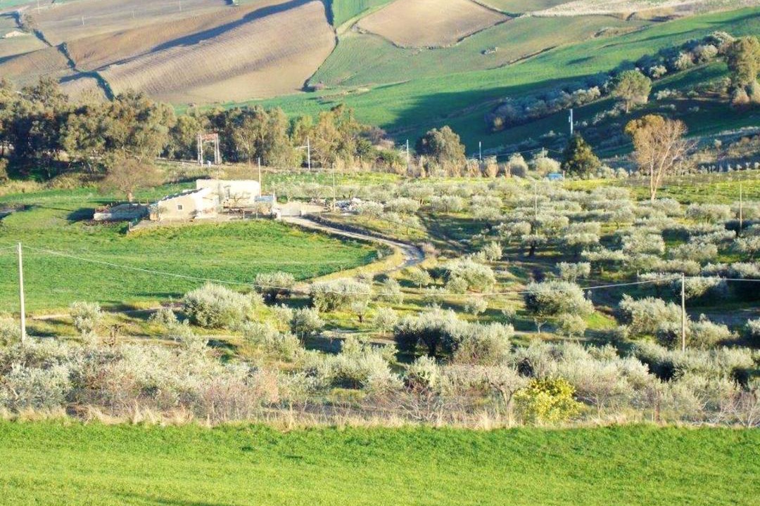 Photo of Outdoor in Lercara Friddi