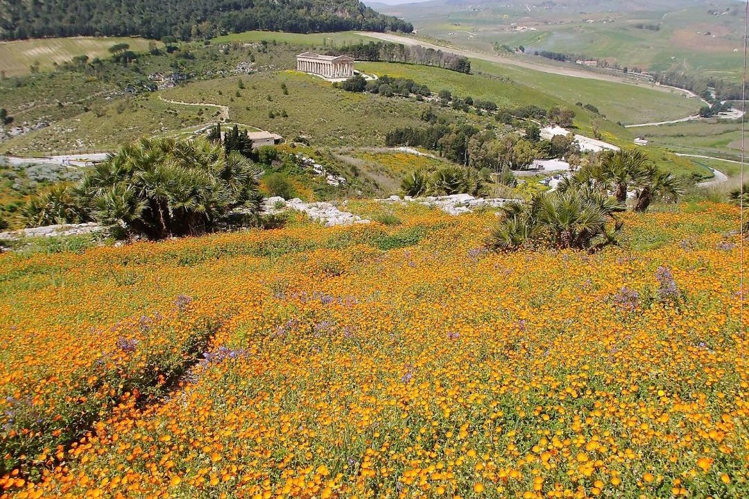 Photo of Outdoor in Comiso