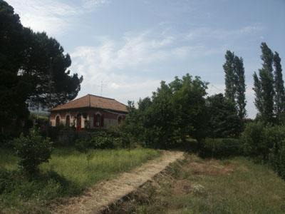 Photo of Others in Zafferana Etnea