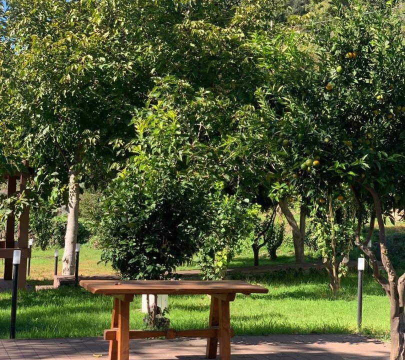 Photo of Outdoor in Valverde