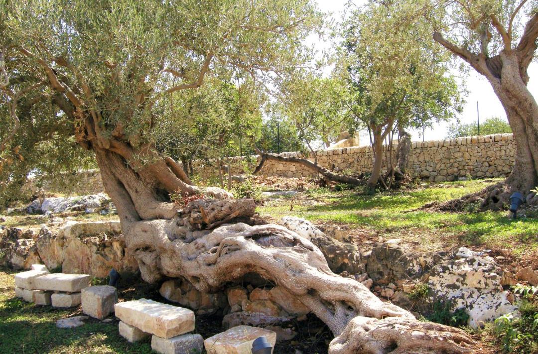Photo of Others in Modica