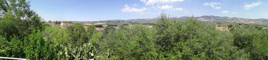 Photo of Others in Chiaramonte Gulfi