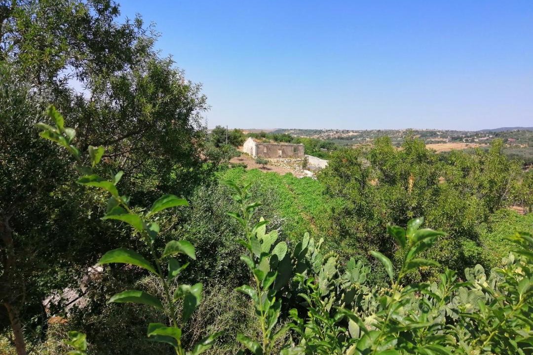 Photo of Others in Chiaramonte Gulfi