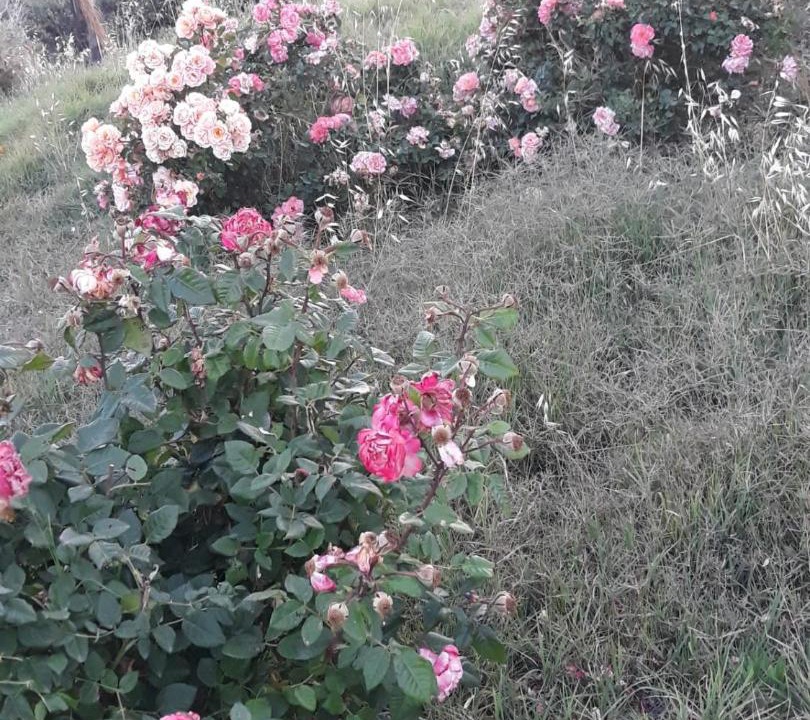 Photo of Outdoor in Birgi Vecchi