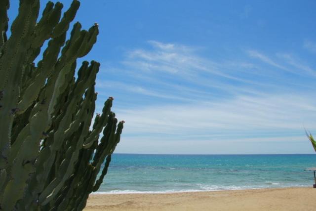 Photo of Outdoor in Noto Marina