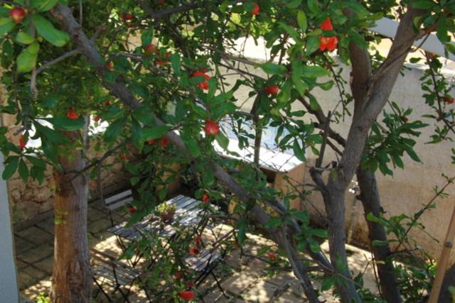 Photo of Others in Noto Marina