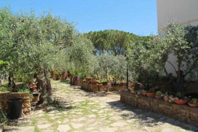 Photo of Outdoor in Noto Marina