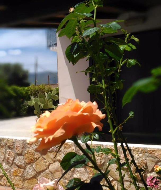 Photo of Patio Balcony in Alcamo
