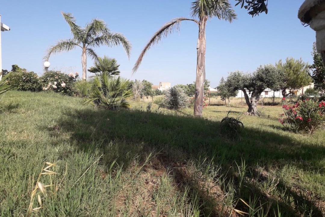 Photo of Outdoor in Birgi Vecchi