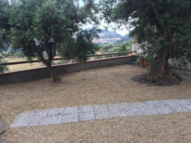 Photo of Others in Savoca