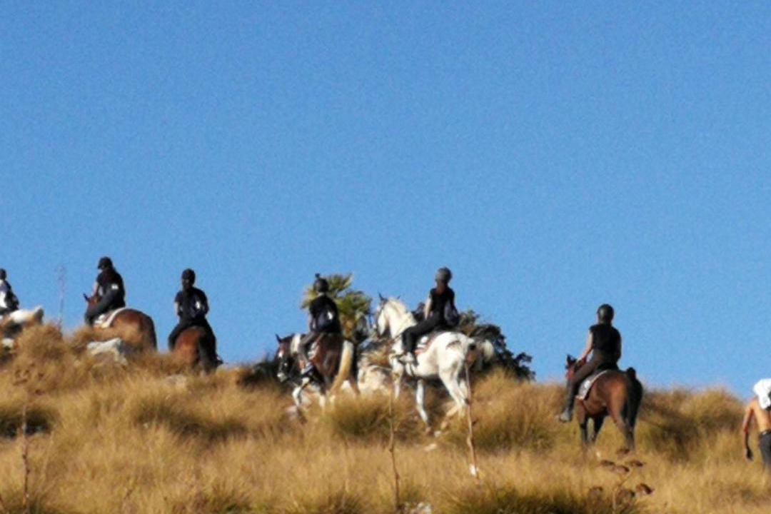 Photo of Outdoor in Custonaci