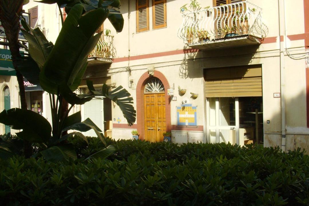 Photo of Others in Gioiosa Marea