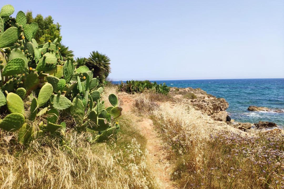 Photo of Outdoor in Calabernardo