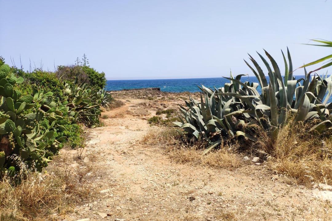 Photo of Outdoor in Calabernardo