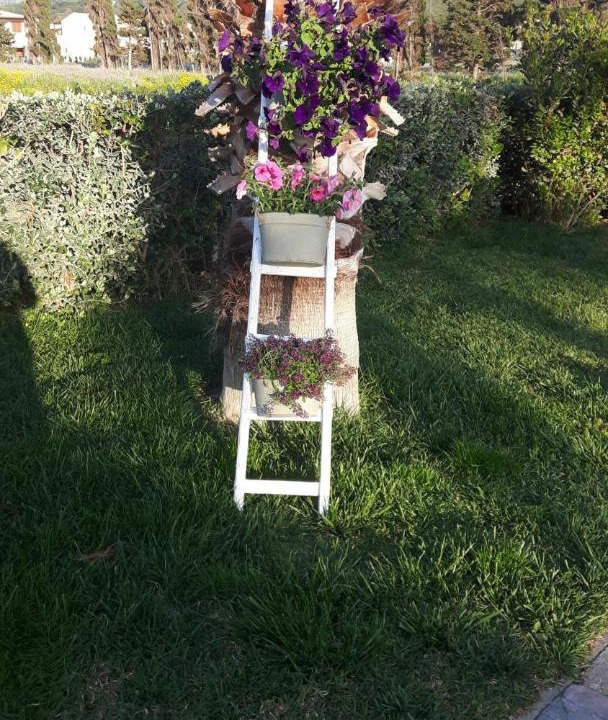Photo of Others in Contrada Pistavecchia 2