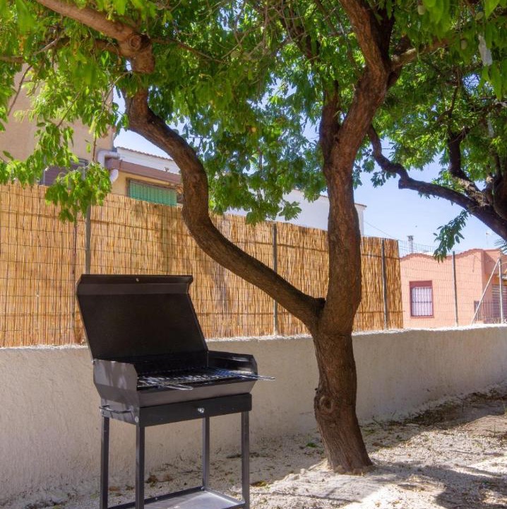 Photo of Others in Marsala