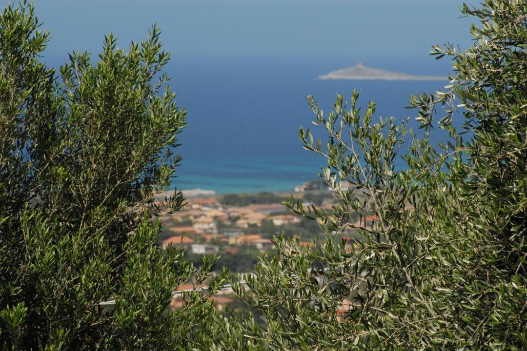 Photo of Outdoor in Carini