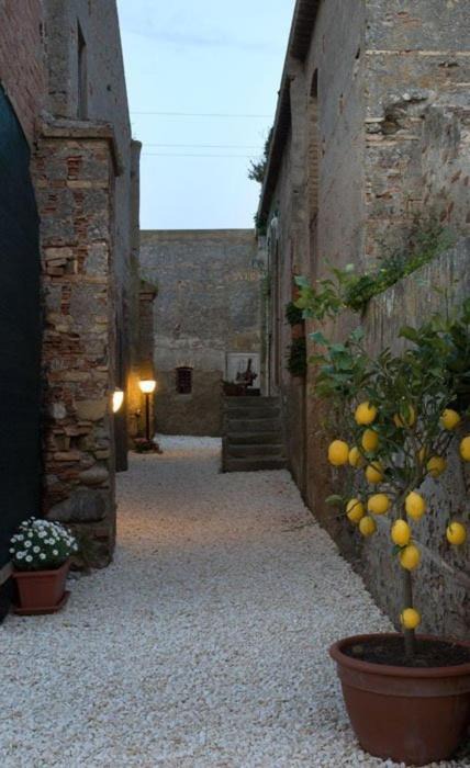 Photo of Others in Mili San Pietro