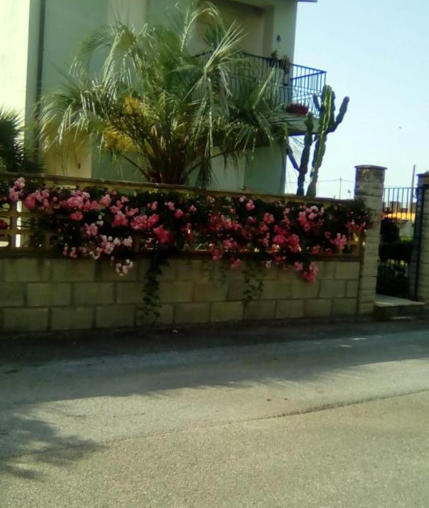 Photo of Others in Bastione