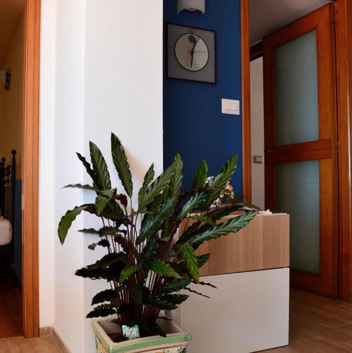 Photo of Livingroom in Picanello-Ognina-Barriera-Canalicchio