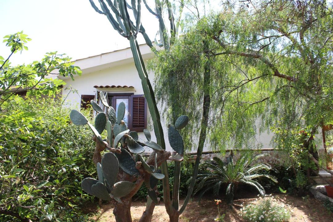 Photo of Others in Altavilla Milicia