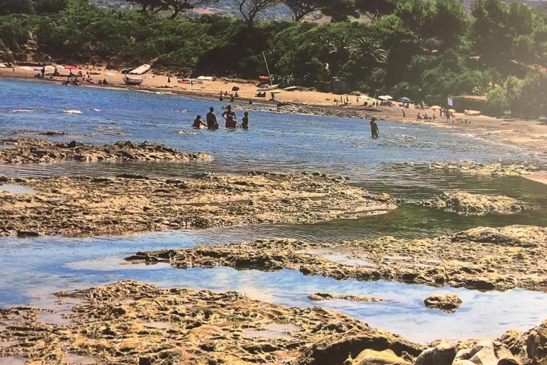 Photo of Others in Capo