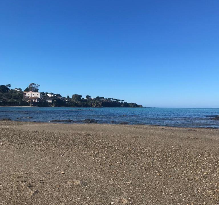 Photo of Others in Capo