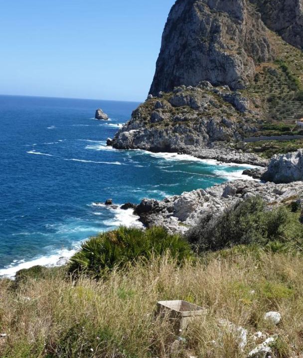 Photo of Others in Capo Zafferano