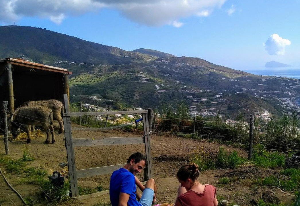 Photo of Others in Monte Gallina