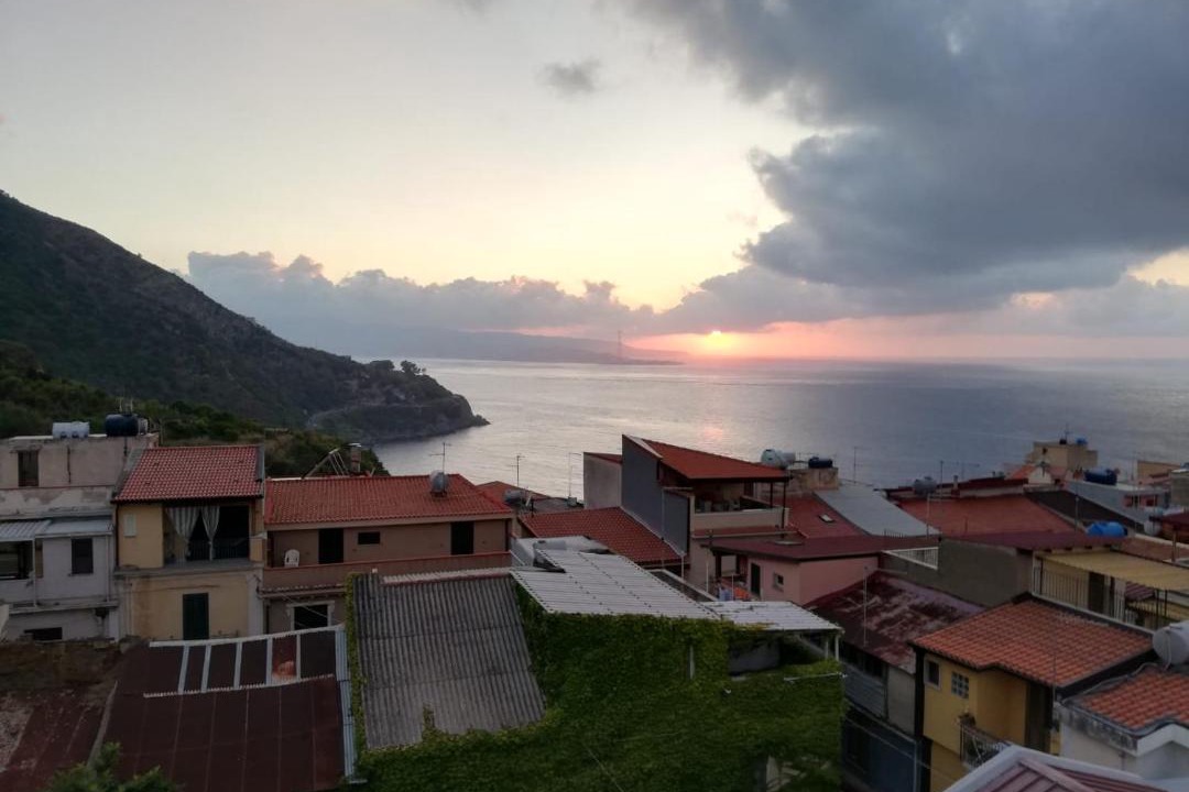 Photo of Others in Scilla