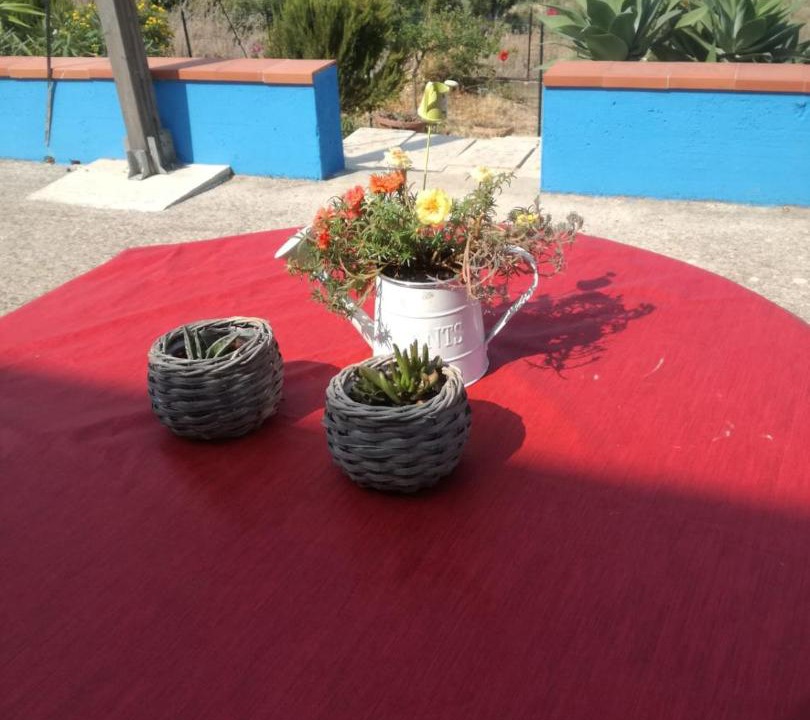Photo of Others in Scopello