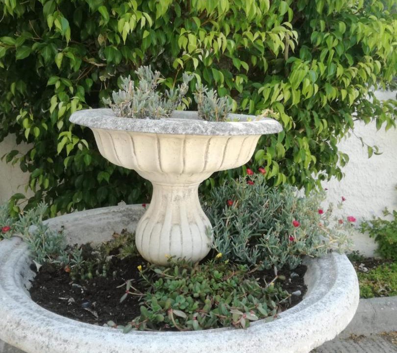 Photo of Others in Scopello