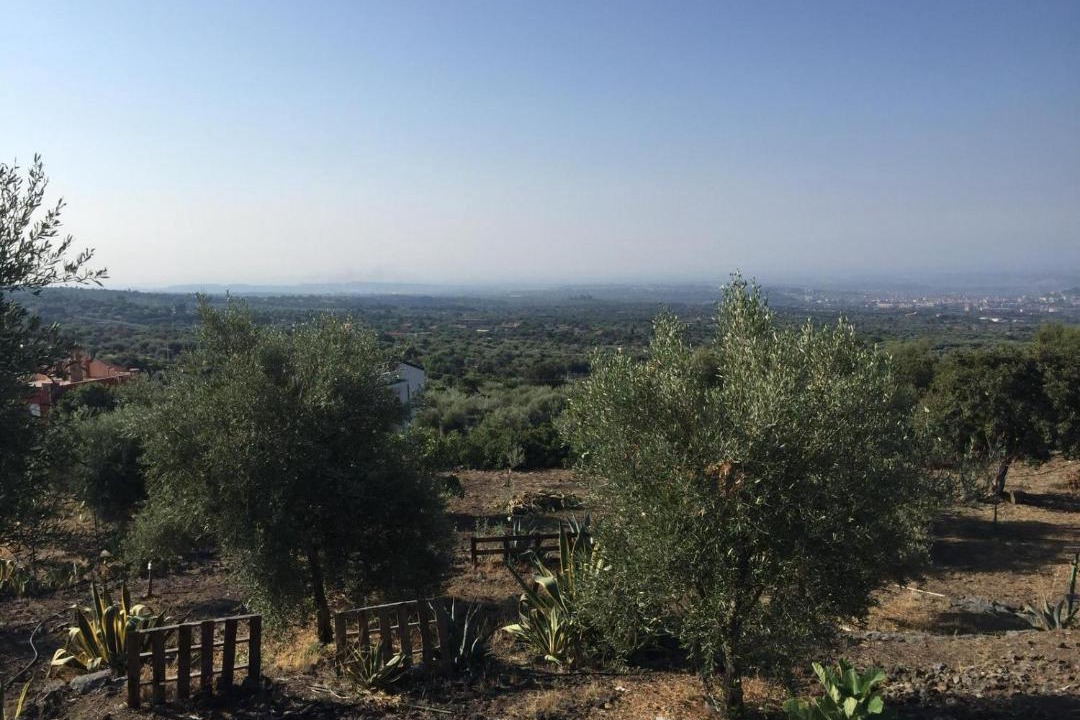 Photo of Outdoor in Ragalna