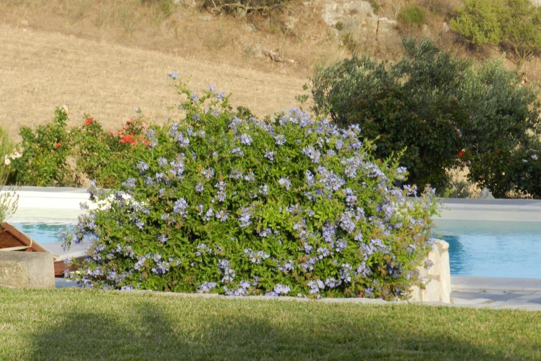 Photo of Others in Roccapalumba
