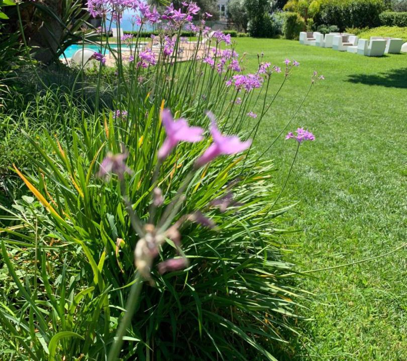 Photo of Outdoor in Taormina