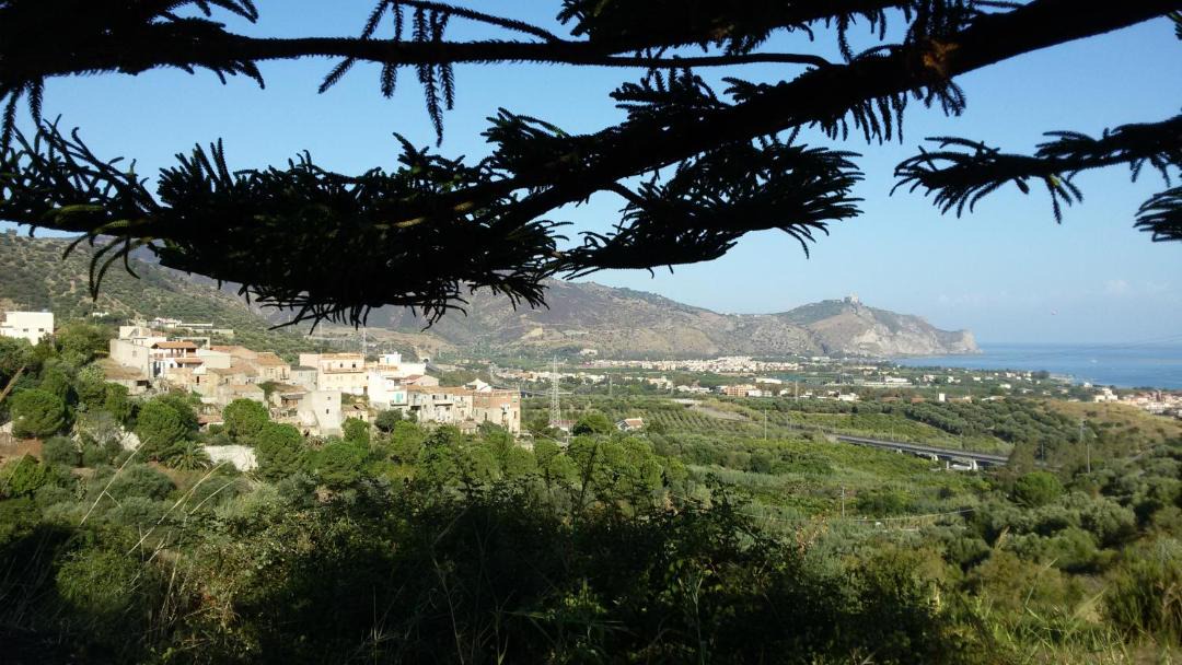 Photo of Outdoor in Falcone