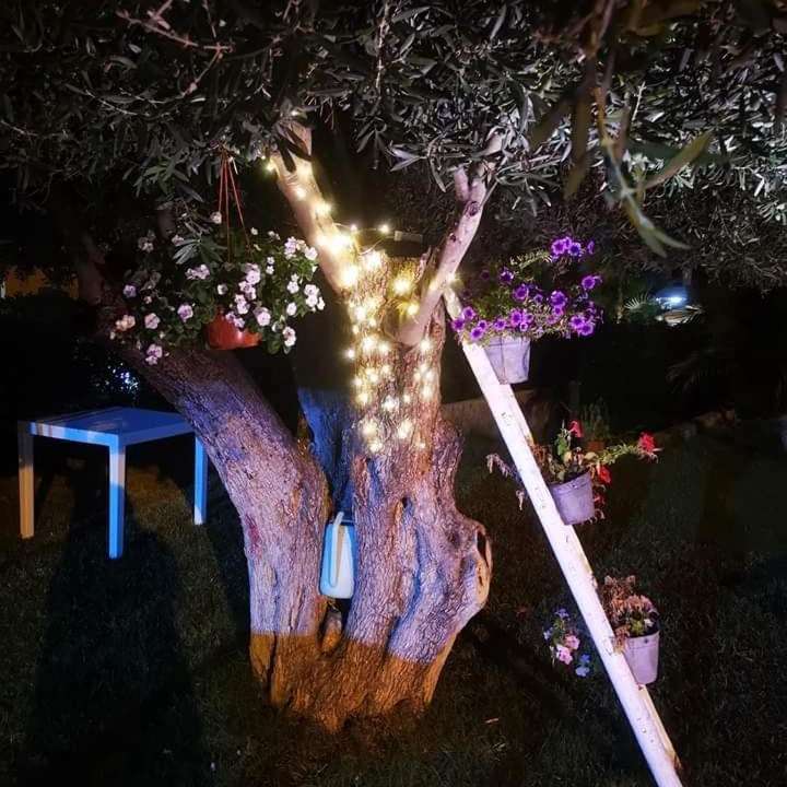 Photo of Outdoor in Contrada Pistavecchia 2