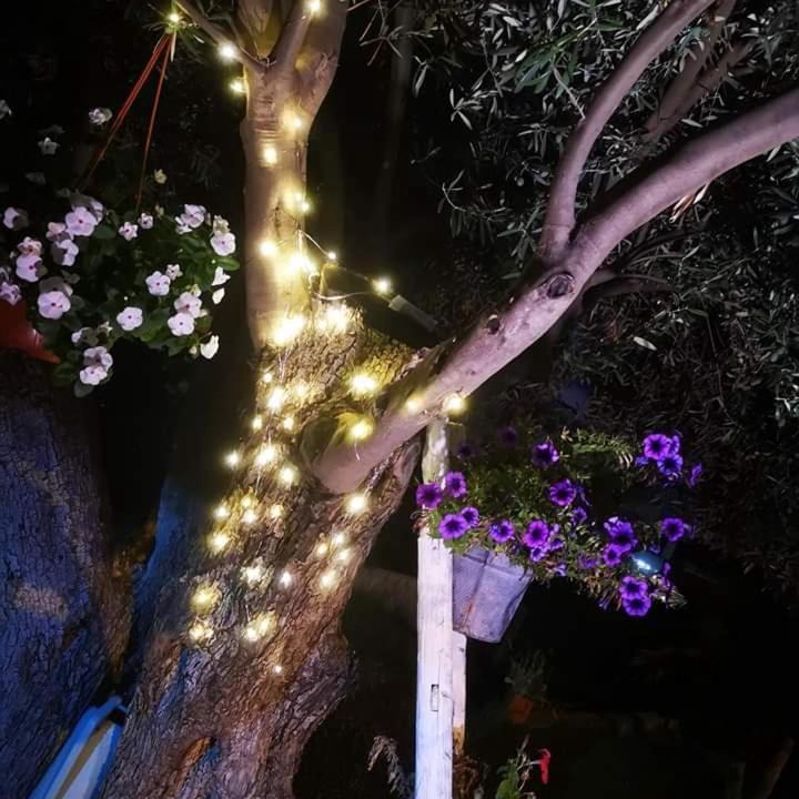 Photo of Outdoor in Contrada Pistavecchia 2