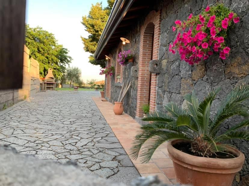 Photo of Others in Viagrande