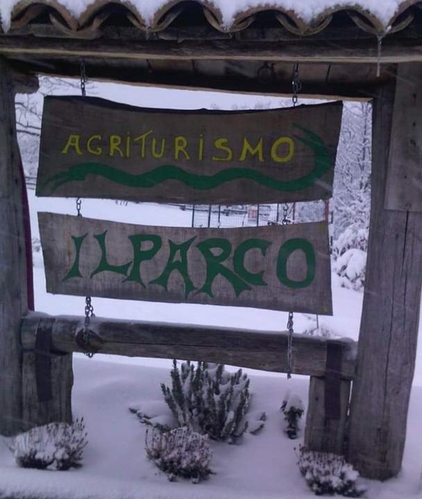 Photo of Others in Nusco