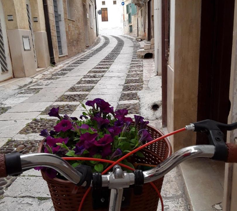 Photo of Others in Alcamo Historic Center