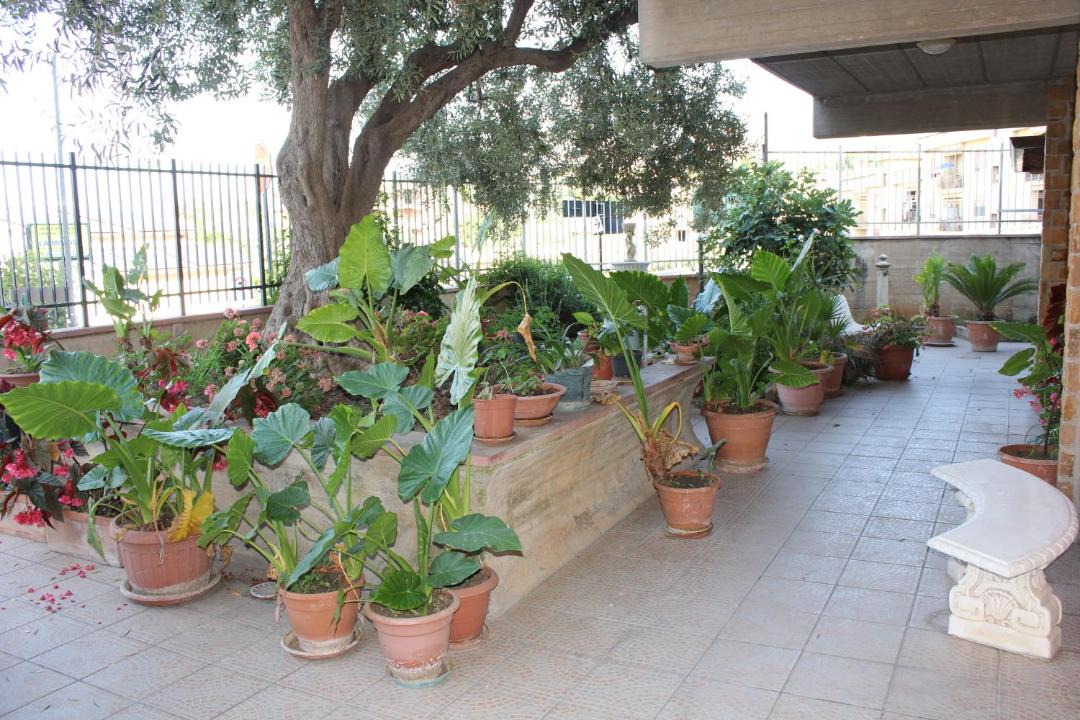 Photo of Others in Trabia